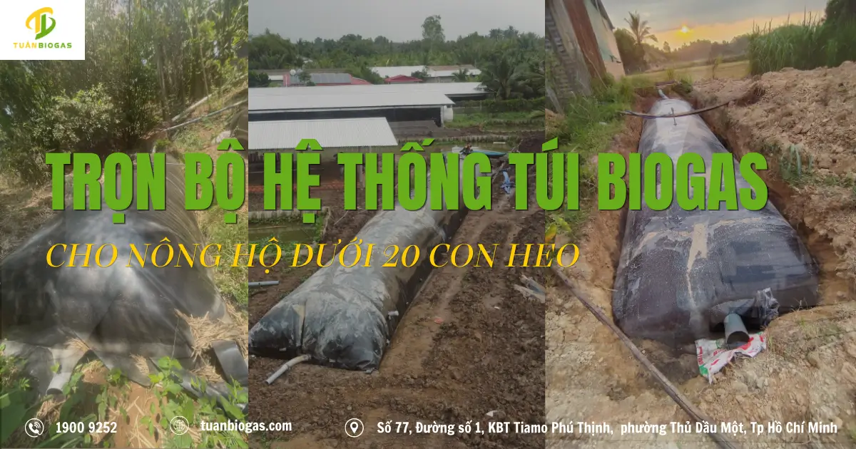 Trọn Bộ Hệ Thống Túi Biogas Nông Hộ Dưới 20 Con Heo: Đầu Tư Một Lần, Dùng Gas Suốt 15 Năm